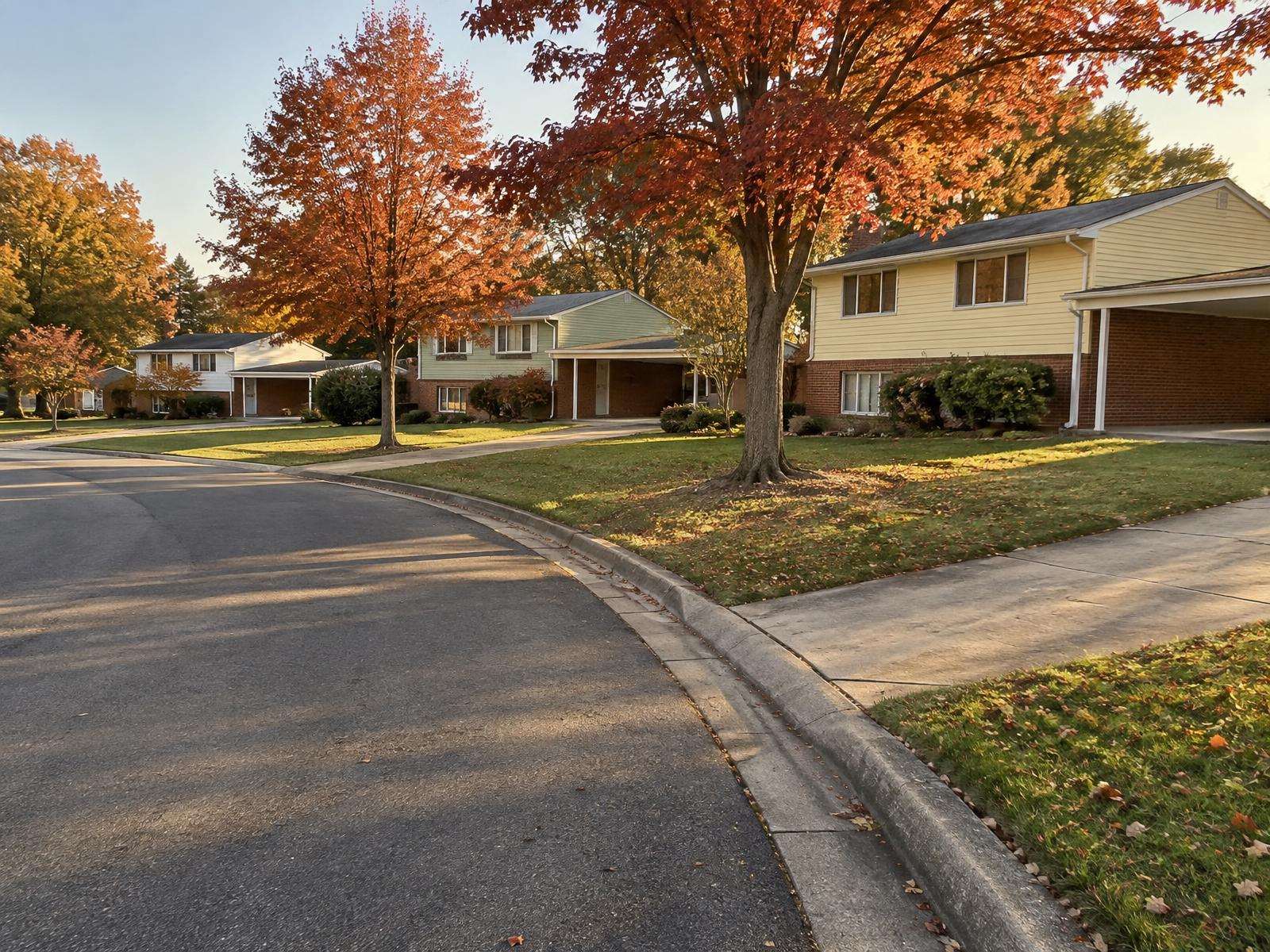 Illustration of a curving street of 1960s split-level houses in Prince George's County.