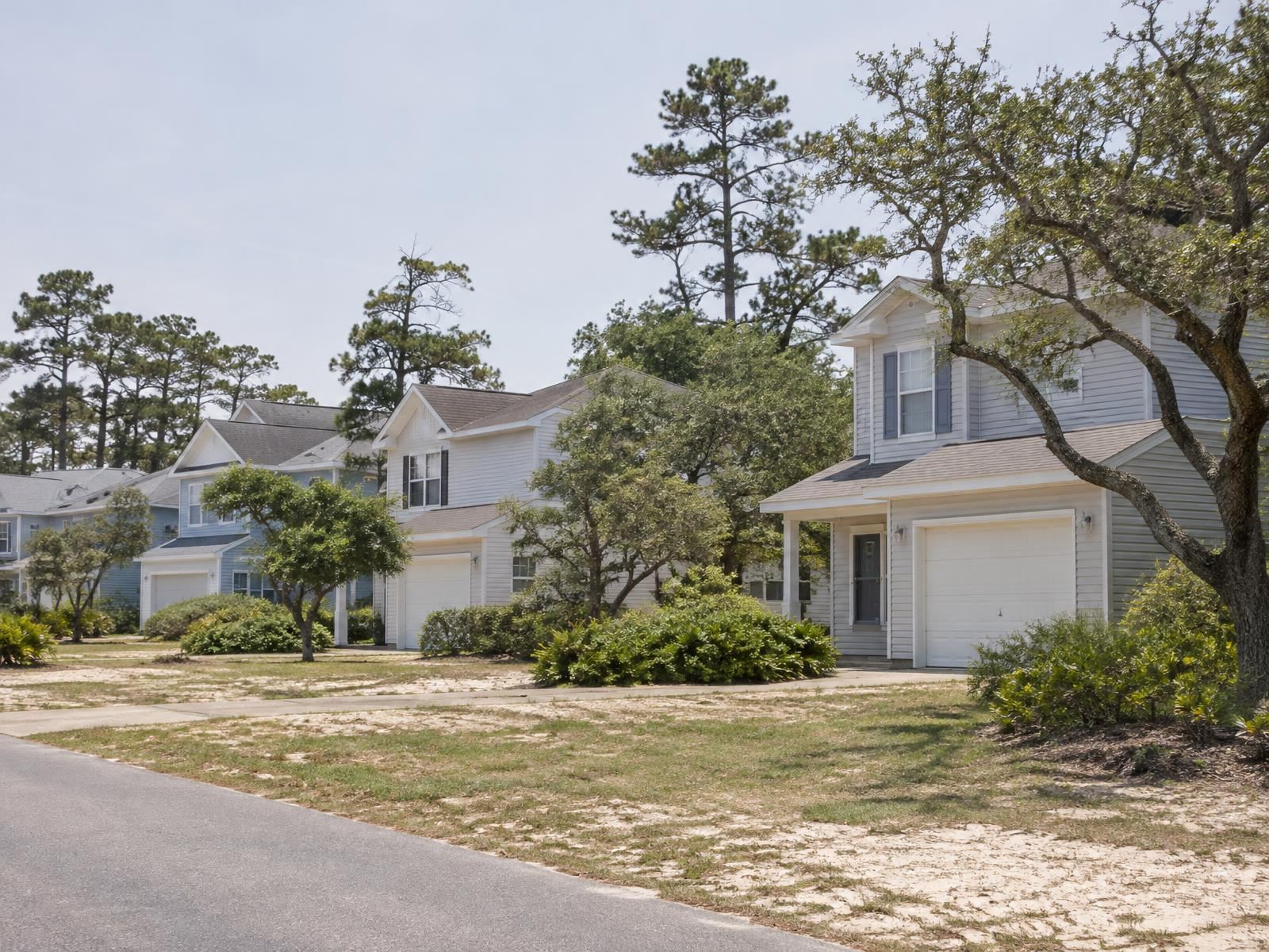 Illustration of a Virginia Beach street of two-story 1980s houses with live oaks.